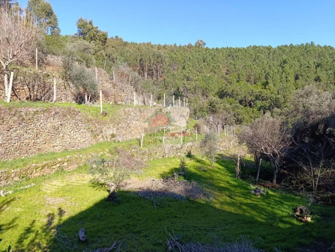 Quinta T2 para Venda em Sobreira Formosa e Alvito da Beira Foto 40