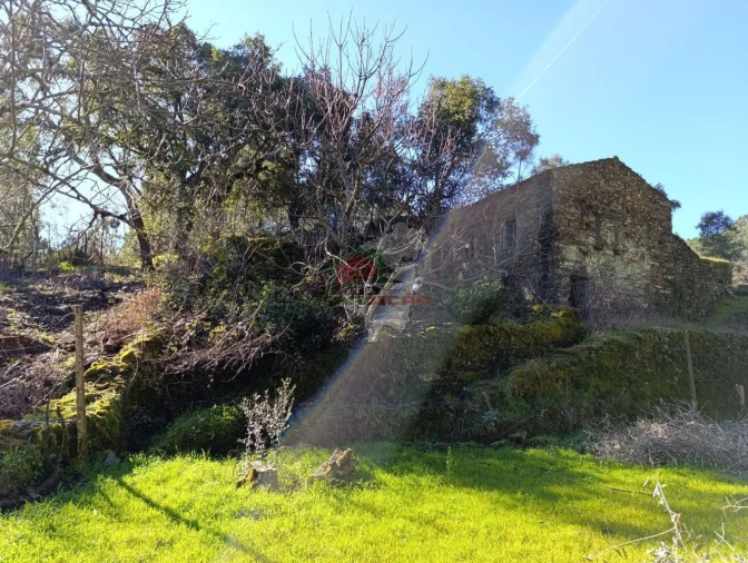 Quinta T2 para Venda em Sobreira Formosa e Alvito da Beira Foto 10