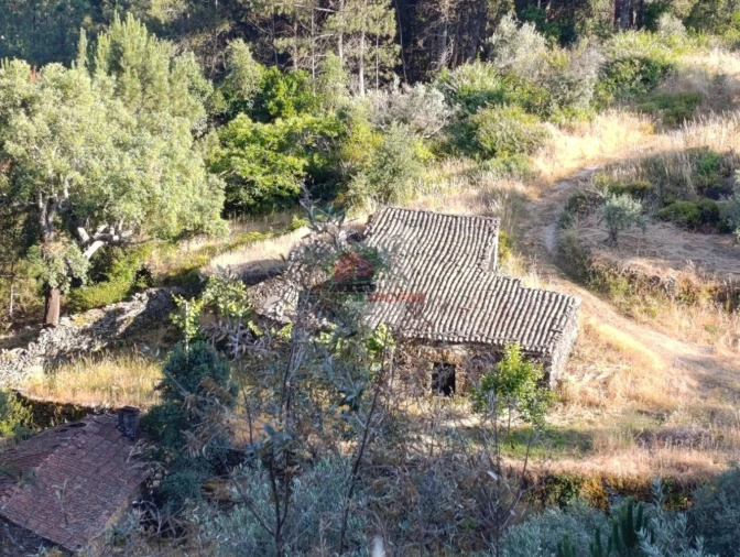 Quinta T2 para Venda em Sobreira Formosa e Alvito da Beira Foto 74