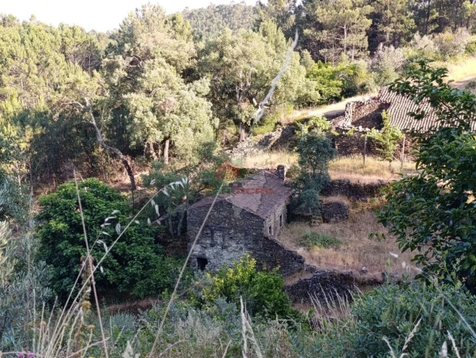 Quinta T2 para Venda em Sobreira Formosa e Alvito da Beira Foto 65