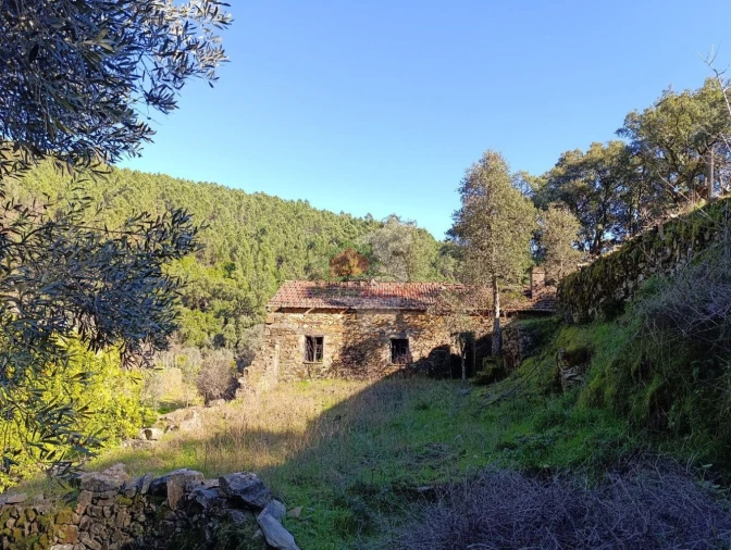 Quinta T2 para Venda em Sobreira Formosa e Alvito da Beira Foto 7