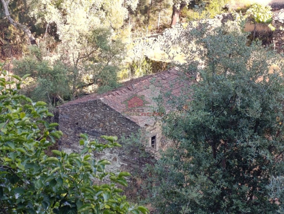 Quinta T2 para Venda em Sobreira Formosa e Alvito da Beira Foto 63