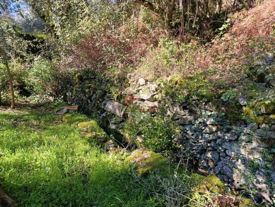 Quinta T2 para Venda em Sobreira Formosa e Alvito da Beira Foto 52