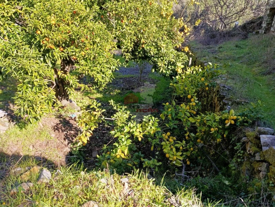 Quinta T2 para Venda em Sobreira Formosa e Alvito da Beira Foto 42