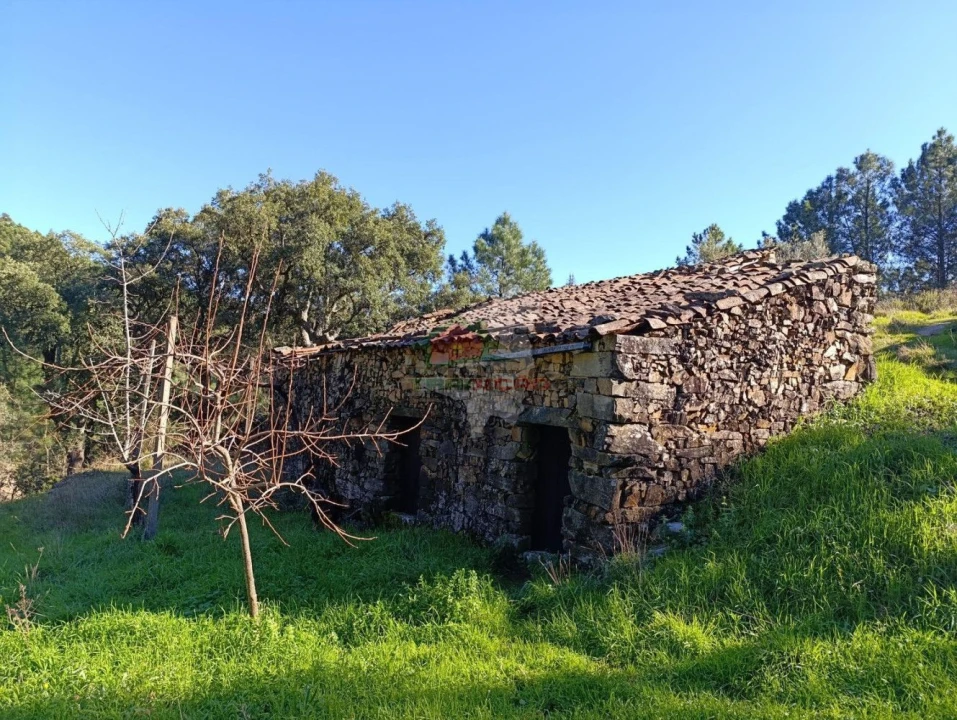 Quinta T2 para Venda em Sobreira Formosa e Alvito da Beira Foto 58