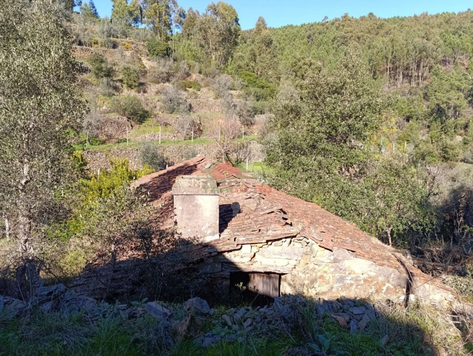 Quinta T2 para Venda em Sobreira Formosa e Alvito da Beira Foto 8