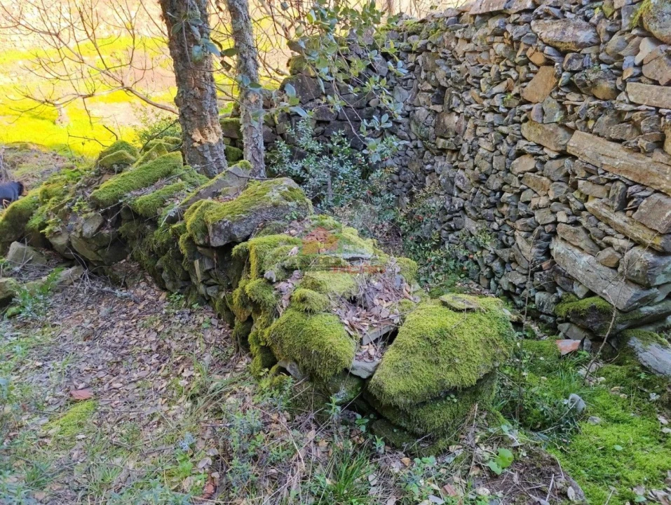 Quinta T2 para Venda em Sobreira Formosa e Alvito da Beira Foto 20
