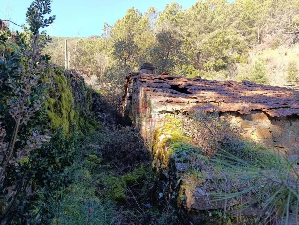 Quinta T2 para Venda em Sobreira Formosa e Alvito da Beira Foto 14