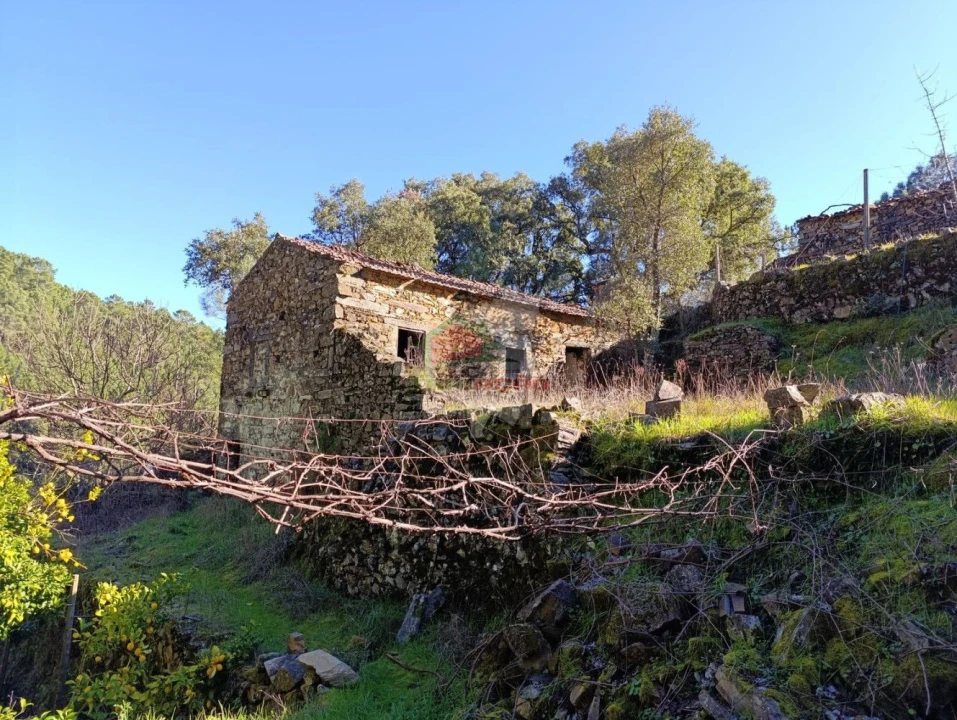 Quinta T2 para Venda em Sobreira Formosa e Alvito da Beira Foto 5