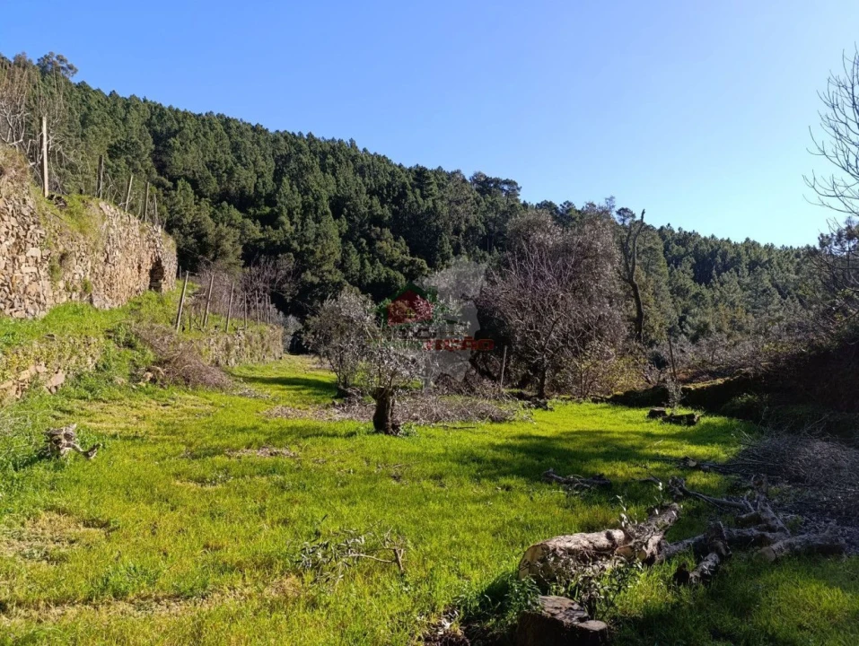 Quinta T2 para Venda em Sobreira Formosa e Alvito da Beira Foto 44
