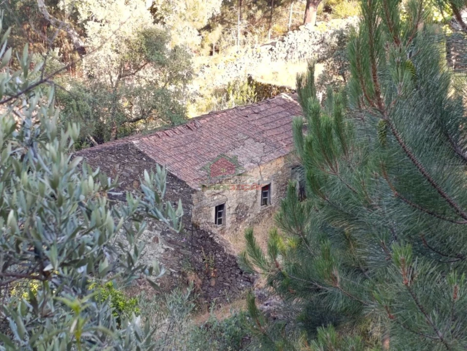 Quinta T2 para Venda em Sobreira Formosa e Alvito da Beira Foto 61