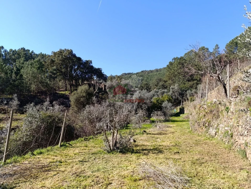 Quinta T2 para Venda em Sobreira Formosa e Alvito da Beira Foto 51