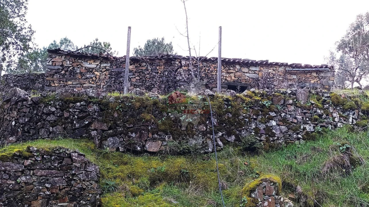 Quinta T2 para Venda em Sobreira Formosa e Alvito da Beira Foto 56