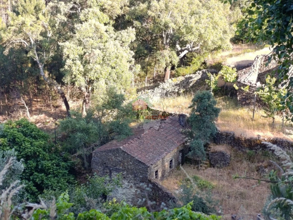 Quinta T2 para Venda em Sobreira Formosa e Alvito da Beira Foto 72