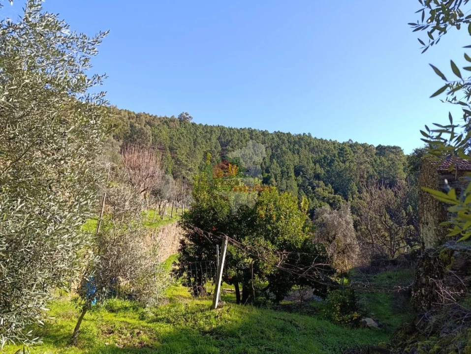 Quinta T2 para Venda em Sobreira Formosa e Alvito da Beira Foto 46