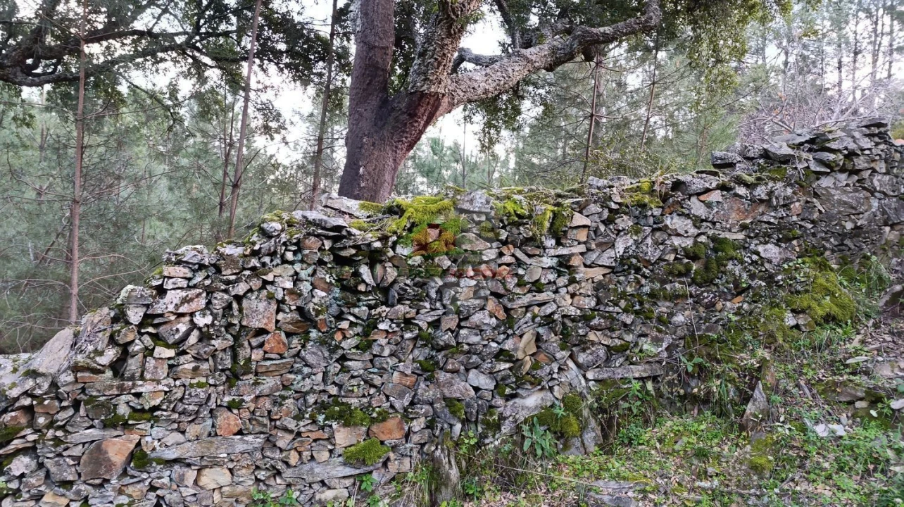 Quinta T2 para Venda em Sobreira Formosa e Alvito da Beira Foto 60