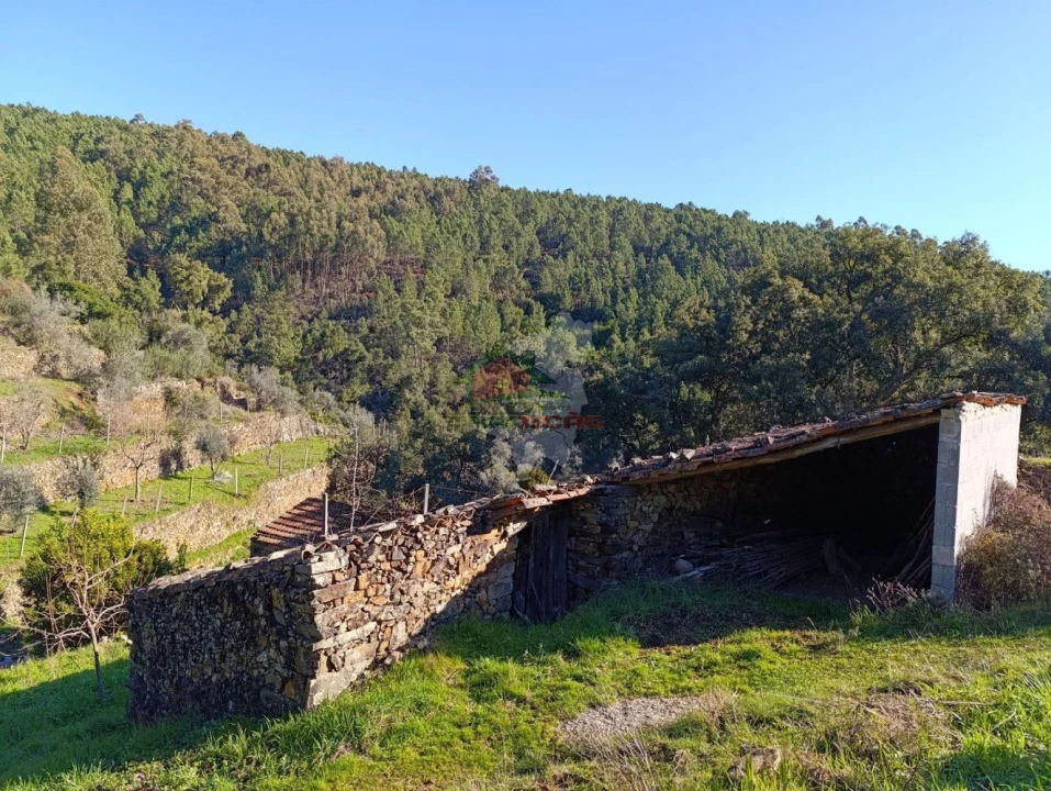 Quinta T2 para Venda em Sobreira Formosa e Alvito da Beira Foto 55