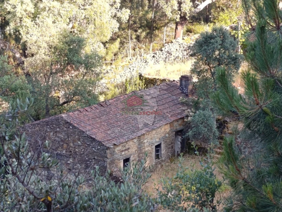 Quinta T2 para Venda em Sobreira Formosa e Alvito da Beira Foto 70