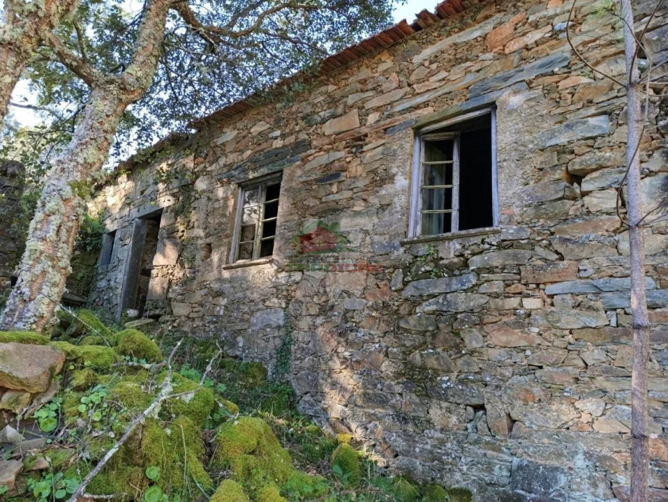 Quinta T2 para Venda em Sobreira Formosa e Alvito da Beira Foto 13