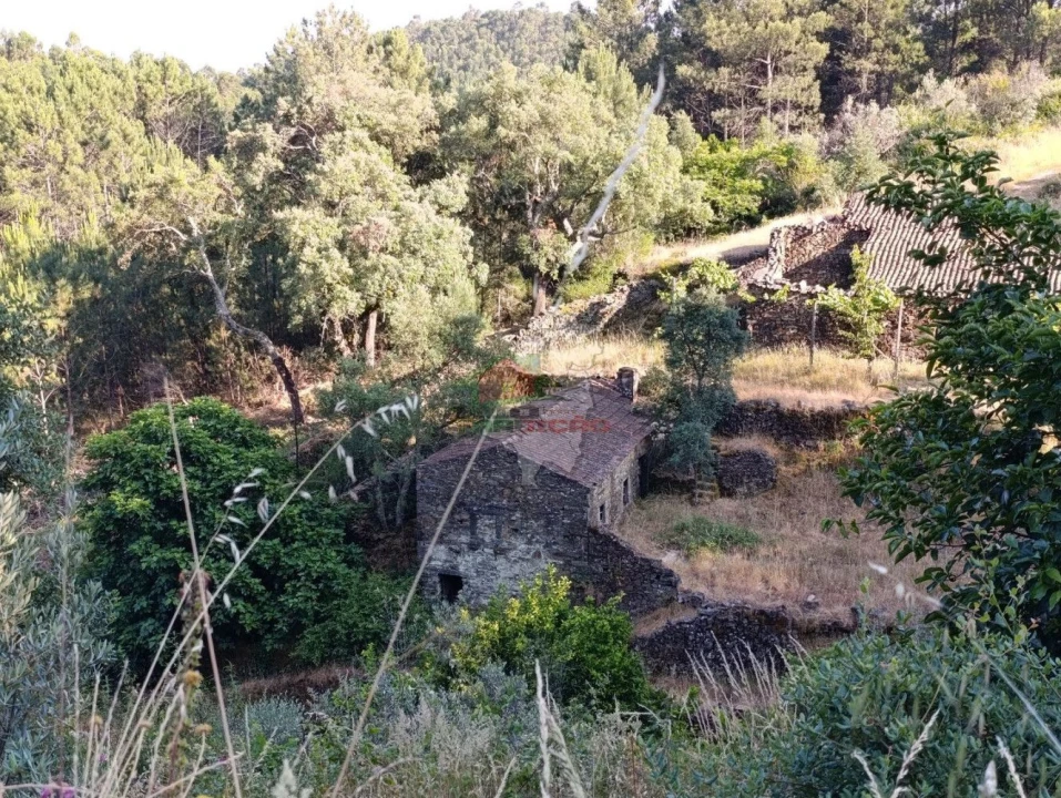 Quinta T2 para Venda em Sobreira Formosa e Alvito da Beira Foto 65