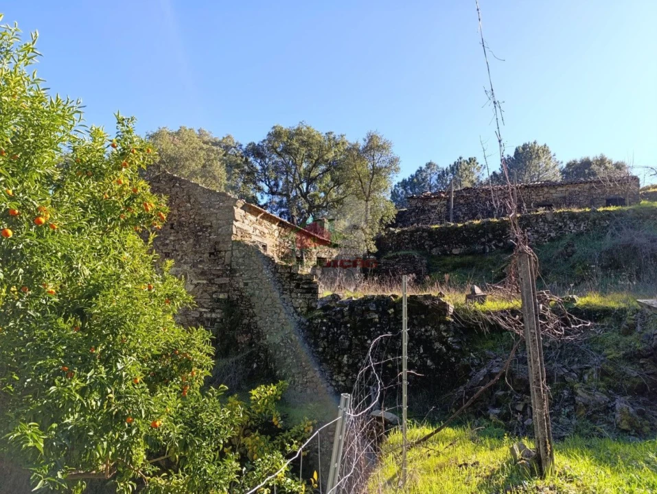 Quinta T2 para Venda em Sobreira Formosa e Alvito da Beira Foto 3