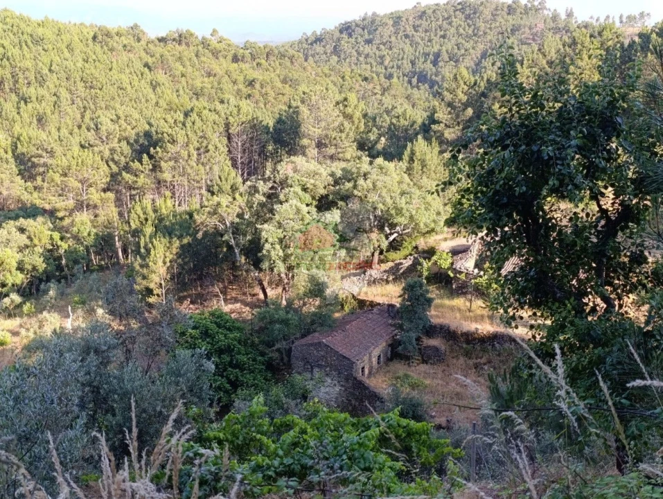 Quinta T2 para Venda em Sobreira Formosa e Alvito da Beira Foto 71