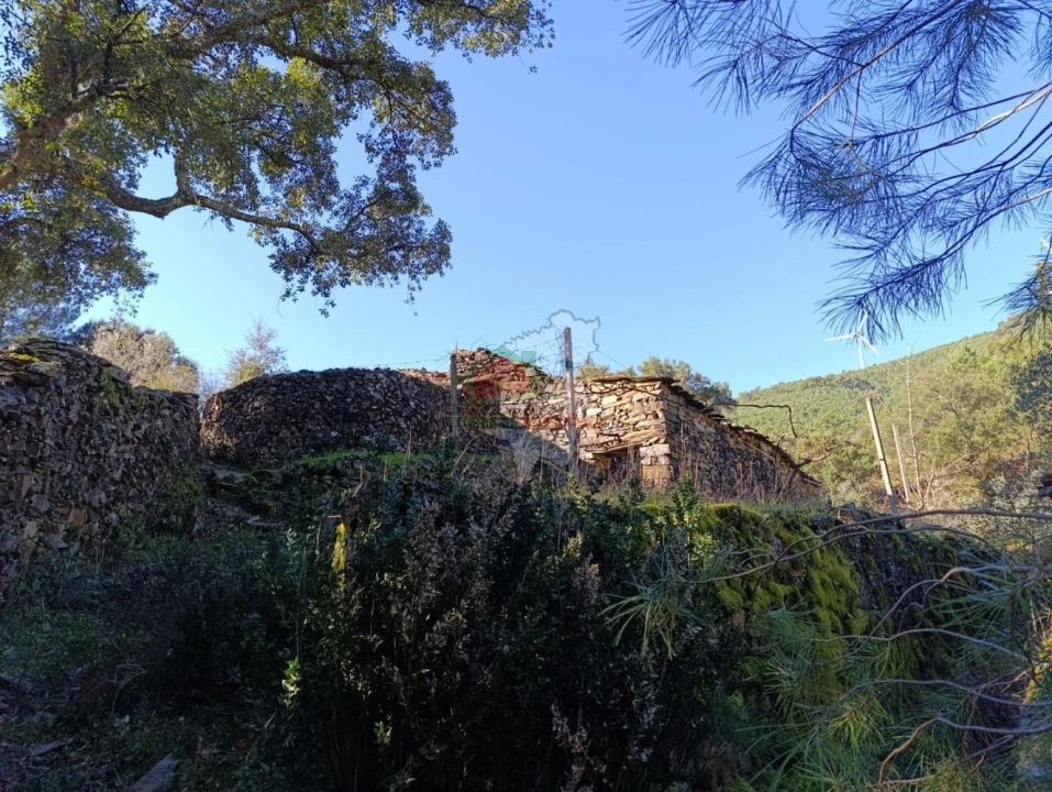 Quinta T2 para Venda em Sobreira Formosa e Alvito da Beira Foto 19