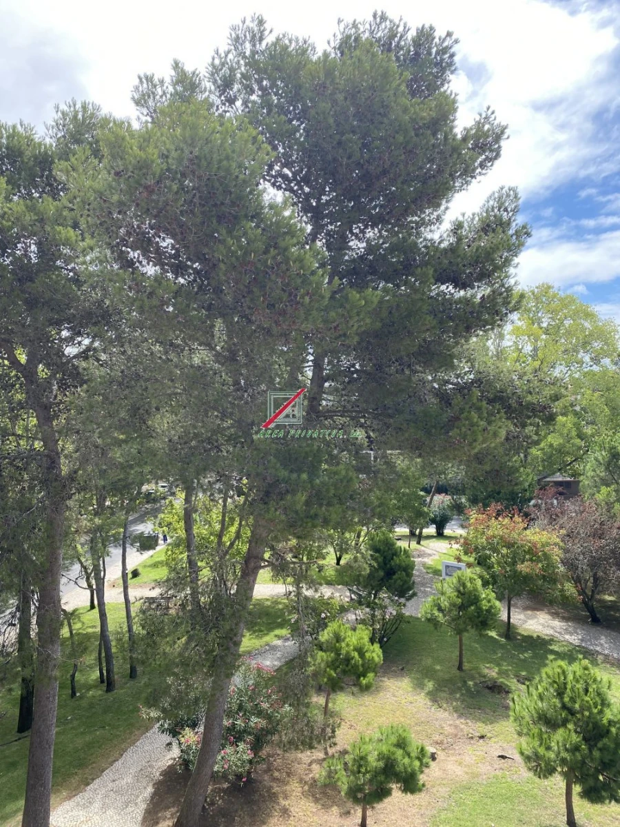 Apartamento T4 para Venda em Cascais e Estoril Foto 77