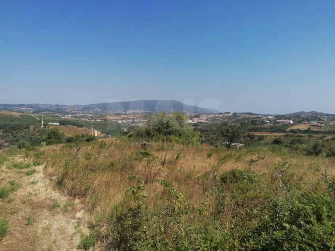 Terreno para Venda em Aldeia Galega da Merceana e Aldeia Gavinha Foto 12