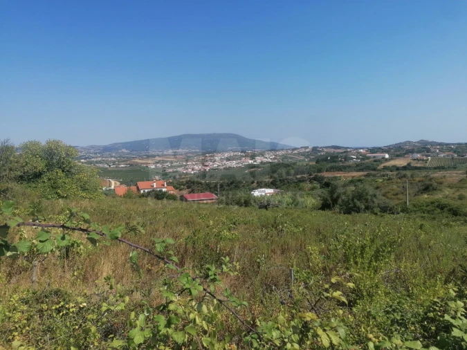Terreno para Venda em Aldeia Galega da Merceana e Aldeia Gavinha Foto 11