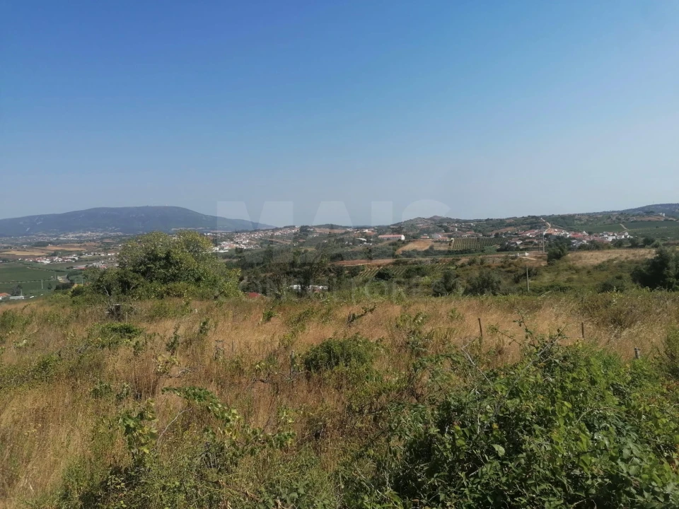 Terreno para Venda em Aldeia Galega da Merceana e Aldeia Gavinha Foto 5