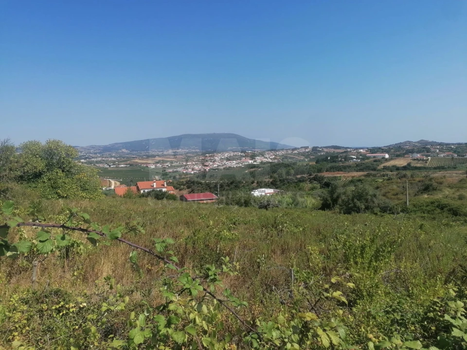 Terreno para Venda em Aldeia Galega da Merceana e Aldeia Gavinha Foto 11