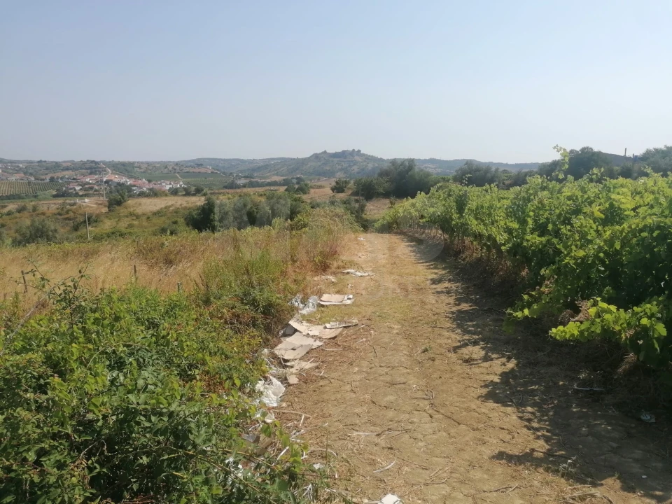 Terreno para Venda em Aldeia Galega da Merceana e Aldeia Gavinha Foto 6