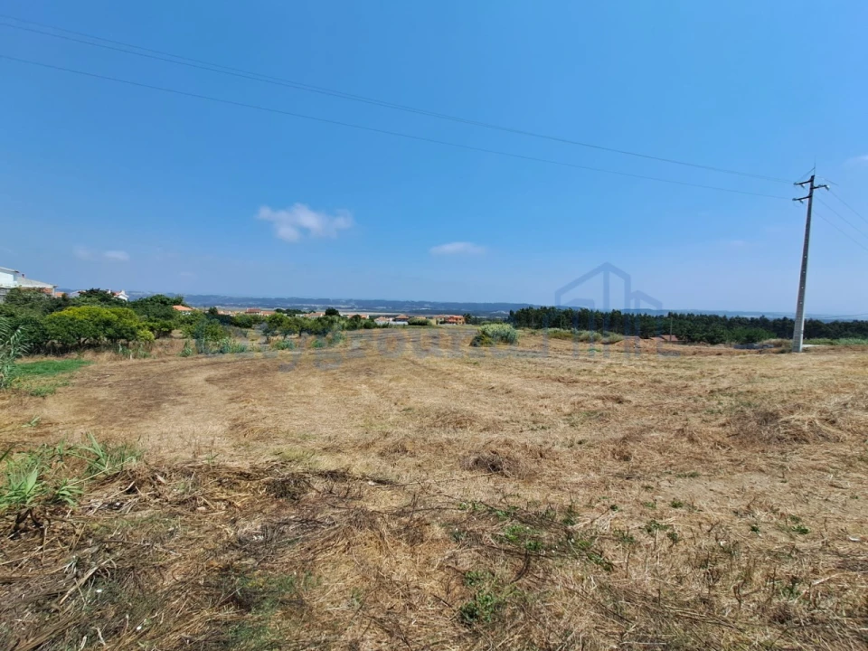Terreno para Venda em Tornada e Salir do Porto Foto 1