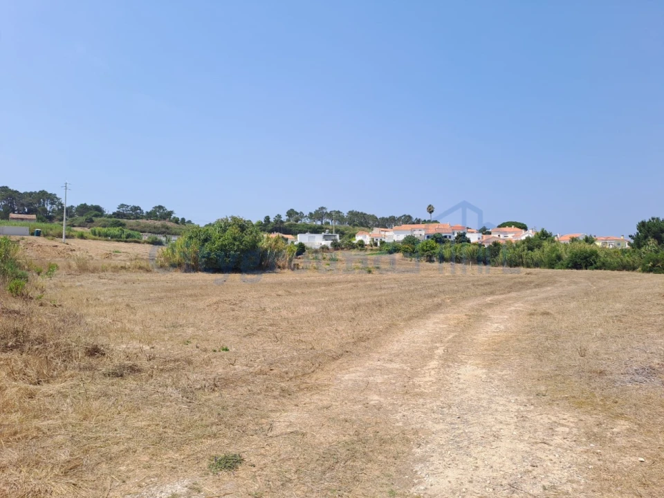 Terreno para Venda em Tornada e Salir do Porto Foto 3