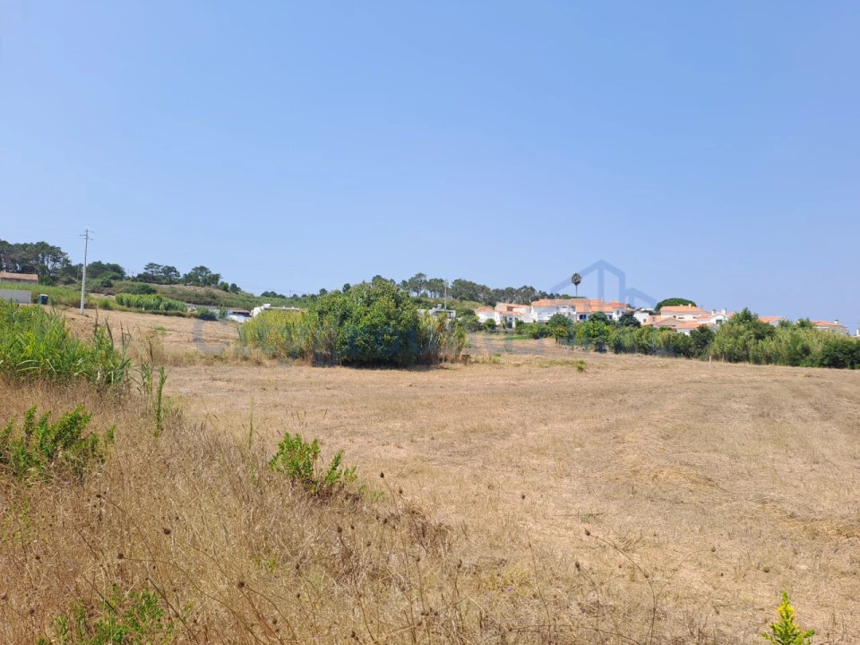 Terreno para Venda em Tornada e Salir do Porto Foto 5