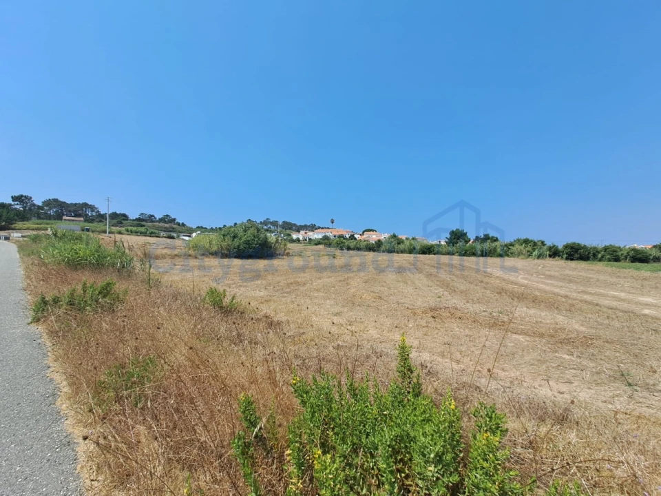 Terreno para Venda em Tornada e Salir do Porto Foto 6