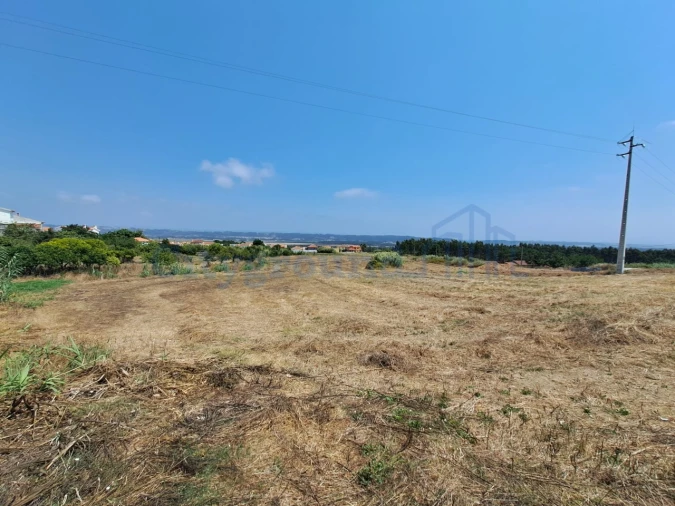 Terreno para Venda em Tornada e Salir do Porto Foto 1