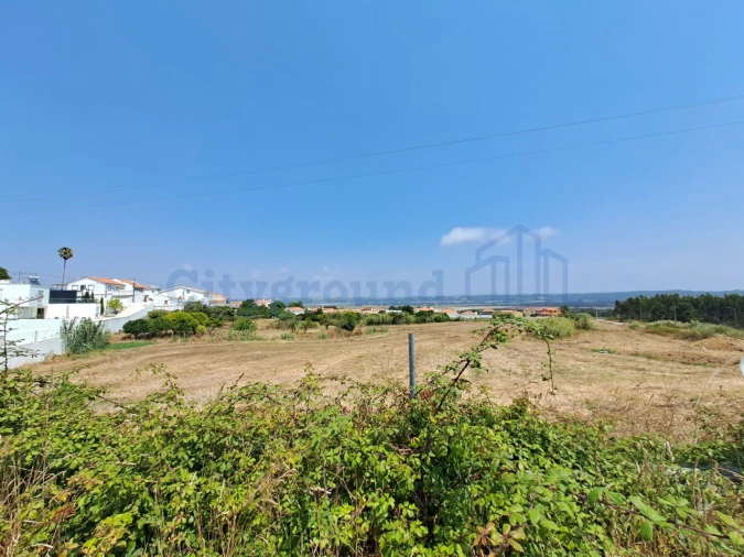 Terreno para Venda em Tornada e Salir do Porto Foto 2