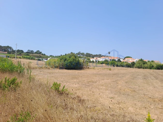 Terreno para Venda em Tornada e Salir do Porto Foto 5