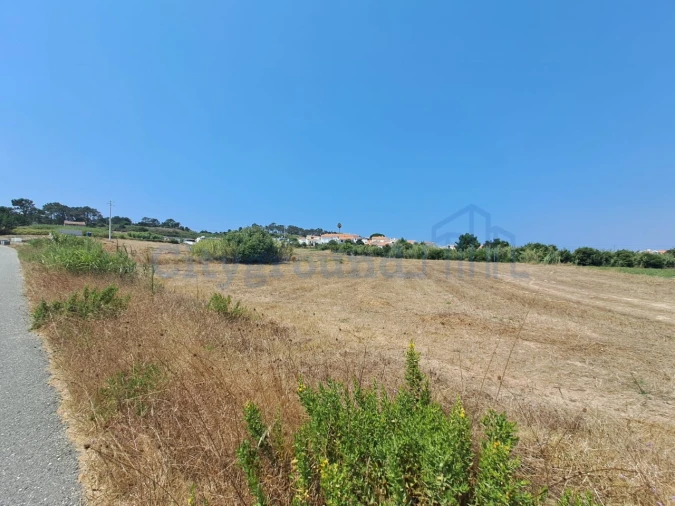 Terreno para Venda em Tornada e Salir do Porto Foto 6