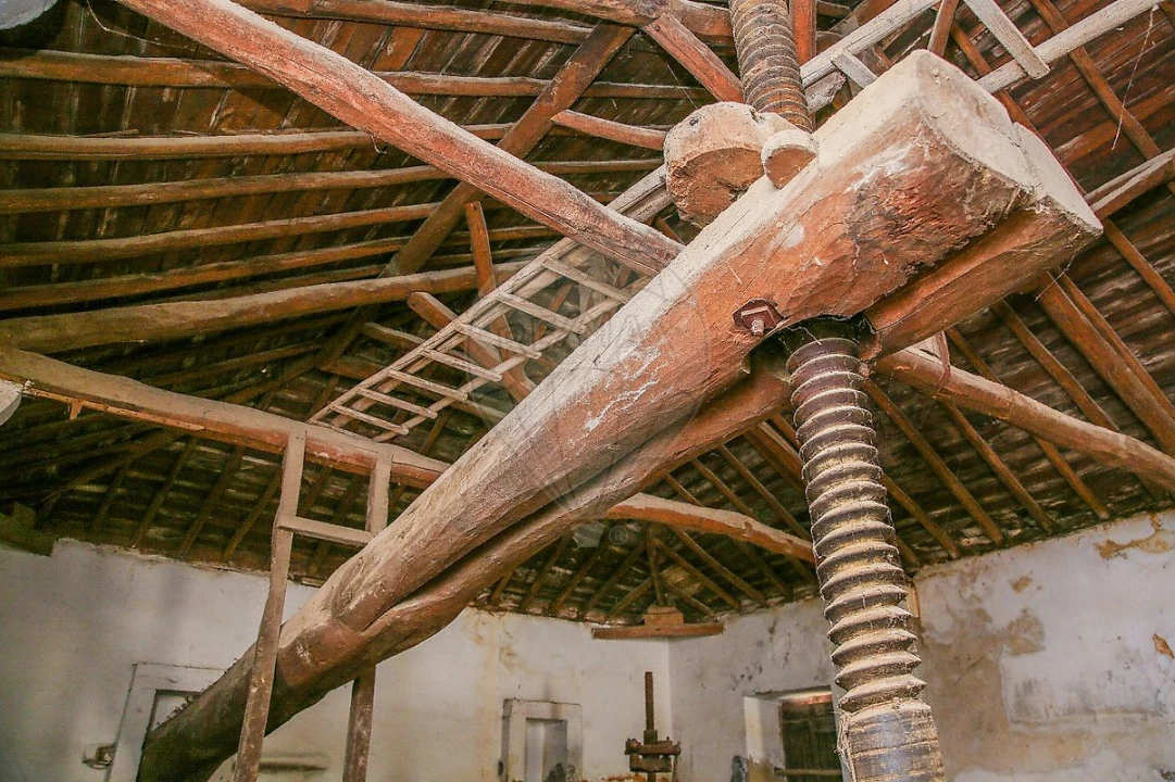 Armazém para Venda em Alhandra, São João dos Montes e Calhandriz Foto 19