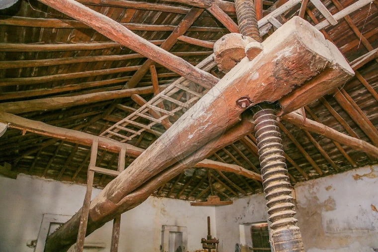 Armazém para Venda em Alhandra, São João dos Montes e Calhandriz Foto 19