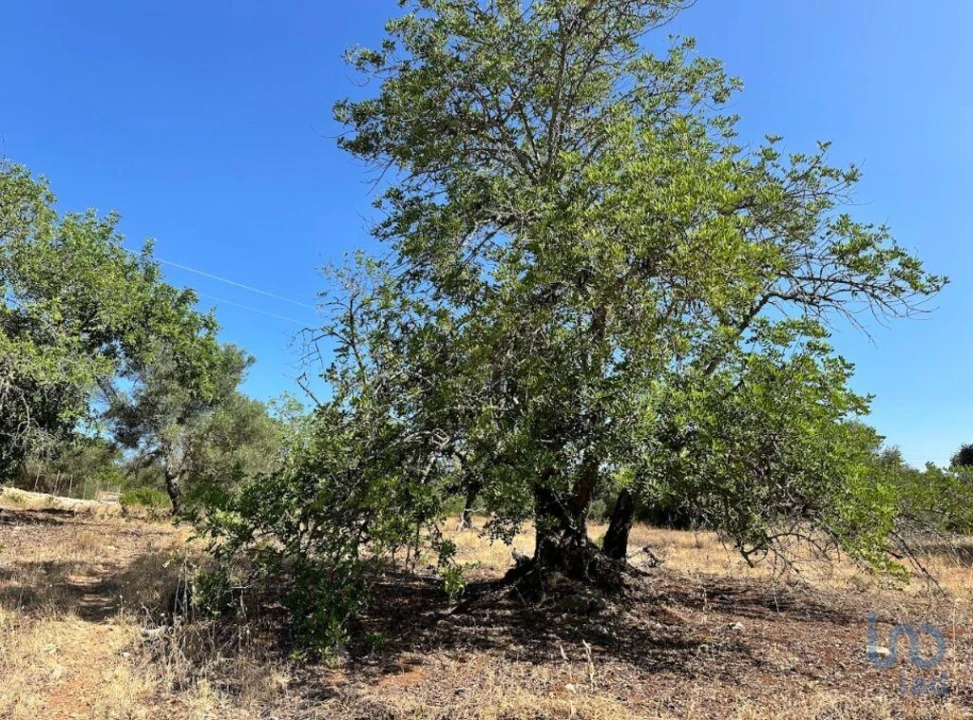 Terreno para Venda em Luz de Tavira e Santo Estêvão Foto 2