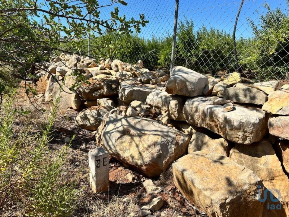 Terreno para Venda em Luz de Tavira e Santo Estêvão Foto 11