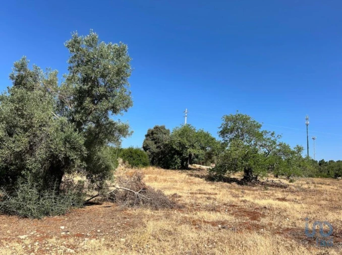 Terreno para Venda em Luz de Tavira e Santo Estêvão Foto 9
