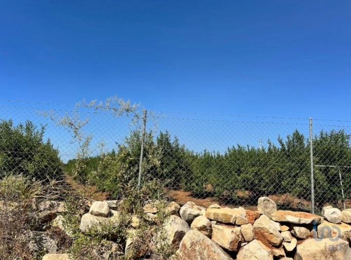 Terreno para Venda em Luz de Tavira e Santo Estêvão Foto 10