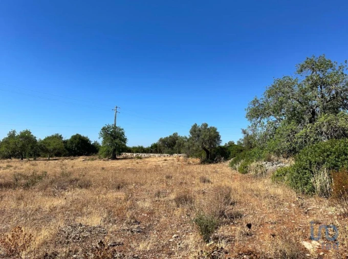 Terreno para Venda em Luz de Tavira e Santo Estêvão Foto 6