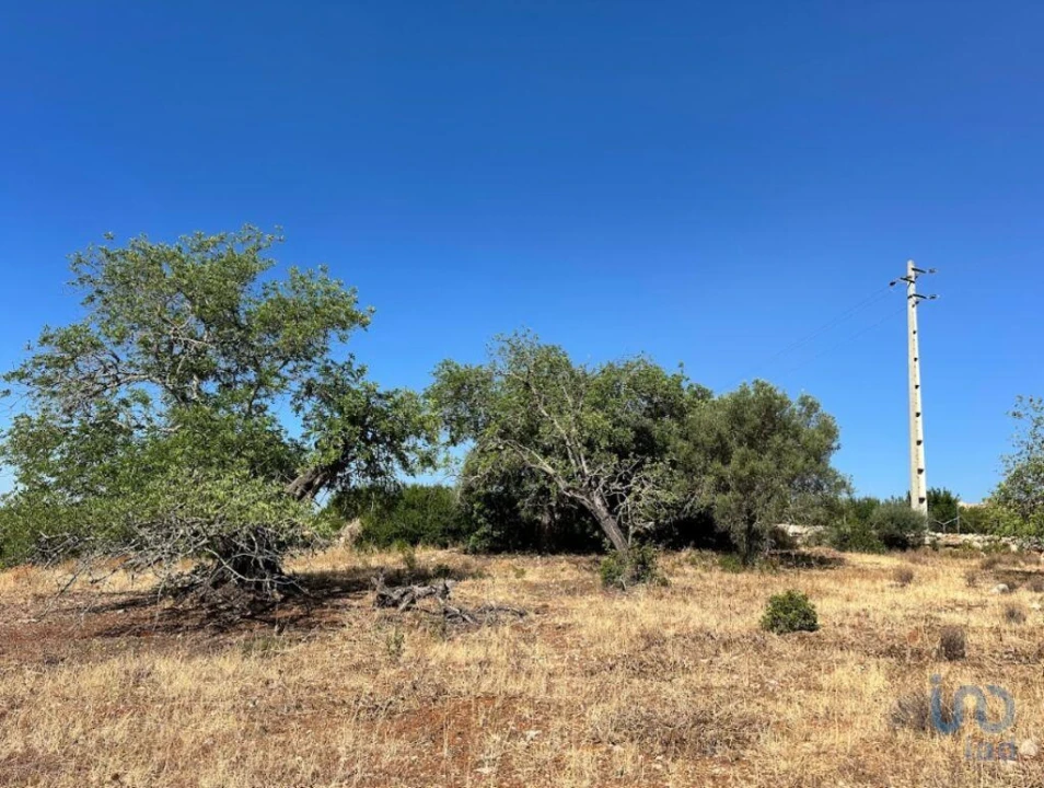 Terreno para Venda em Luz de Tavira e Santo Estêvão Foto 7