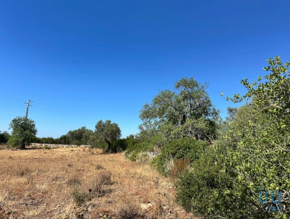 Terreno para Venda em Luz de Tavira e Santo Estêvão Foto 5